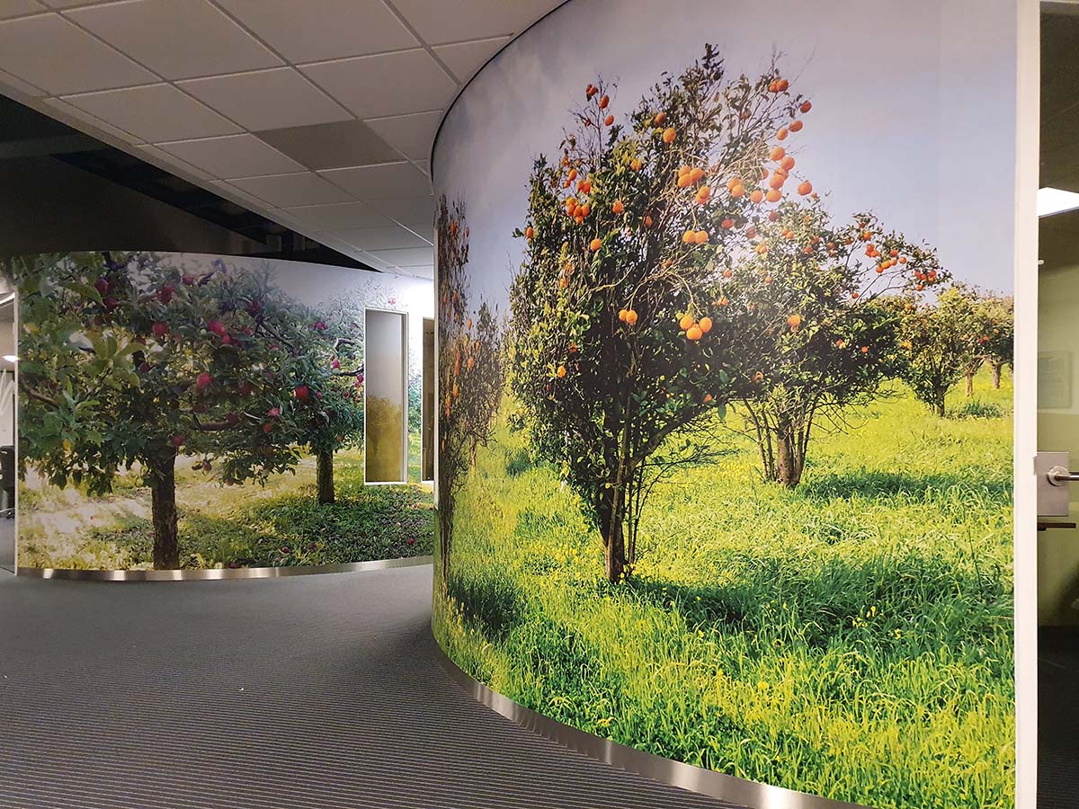 Ronde spreekkamer met fotoprint van fruitbomen op wandbestickering, luxe afgewerkt met mat laminaat