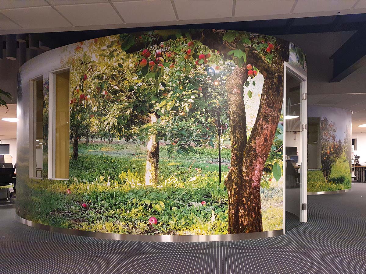 Wandbestickering met fruitboomgaard-print op ronde kantoorwand, duurzame en milieuvriendelijke uitvoering